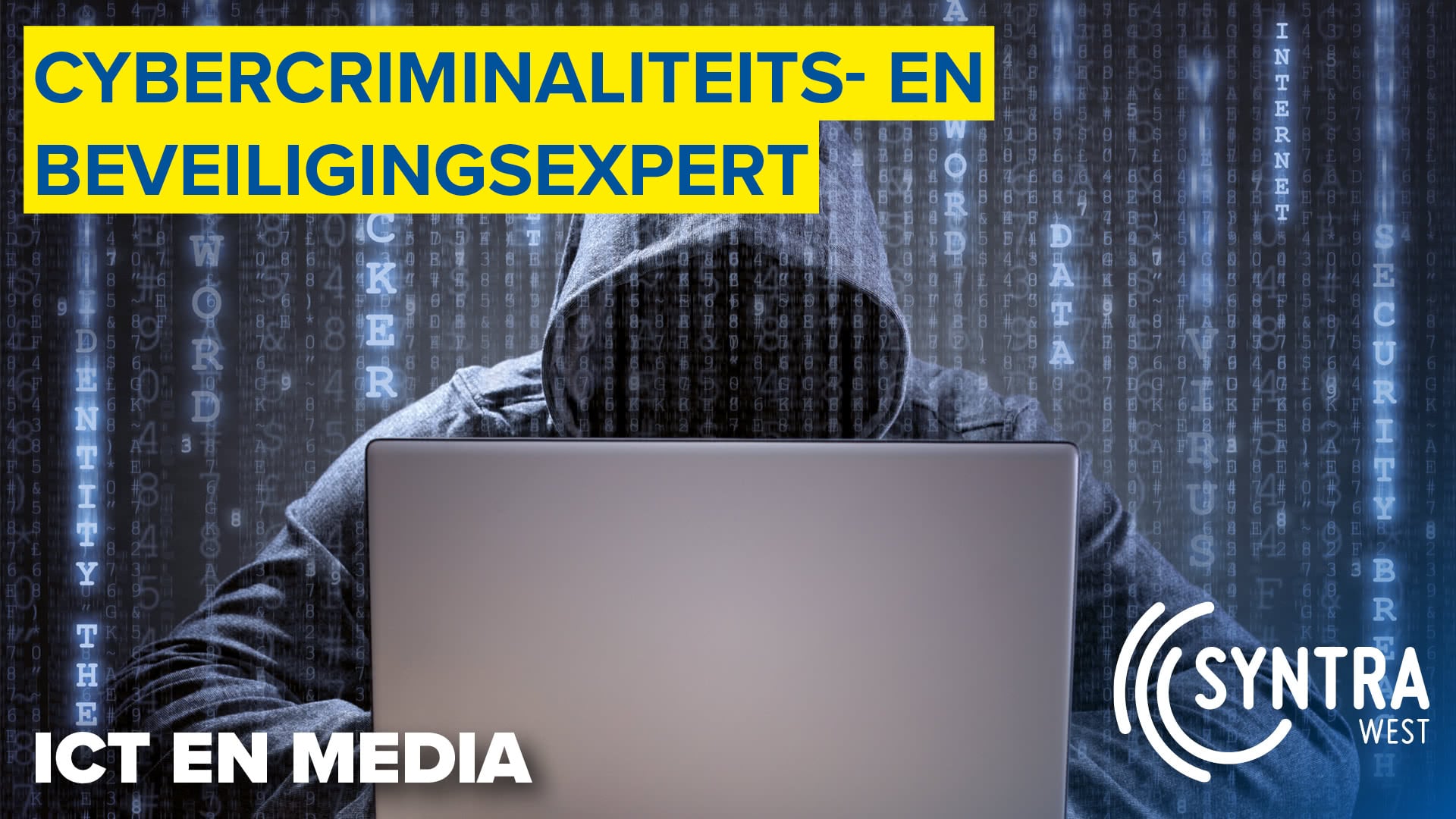Cybercriminaliteits- en beveiligingsexpert